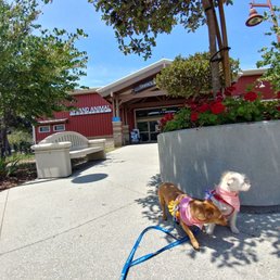 Upland Animal Shelter - 41 Photos &amp; 67 Reviews - Animal Shelters - 1275