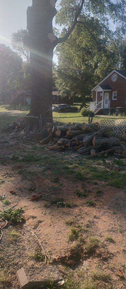 Pacheco's Lawn Care and Tree Service