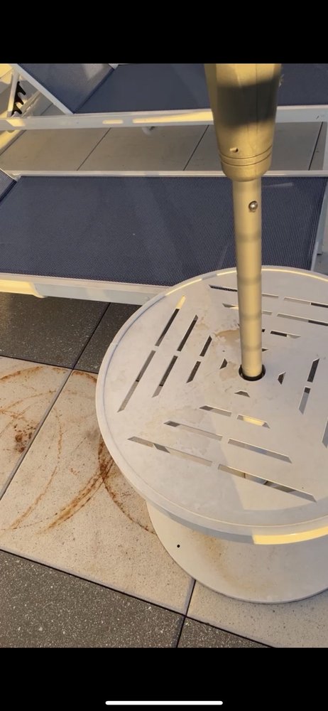 Carroll at Bellemeade