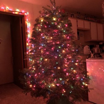 Hunter S Christmas Trees 31 Photos 24 Reviews