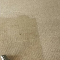 Tri County Carpet Cleaning 11 Photos 15 Reviews Photo Of Tri County Carpet Cleaning Levittown Ny United States During
