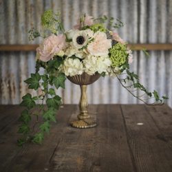 Photo Of The Enchanted Florist Photo Of The Enchanted Florist