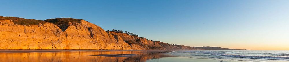 Torrey Pines Law Group