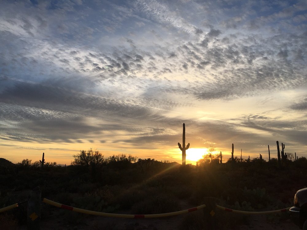 Peralta Trails 85 Photos & 23 Reviews Hiking Peralta Rd, Gold