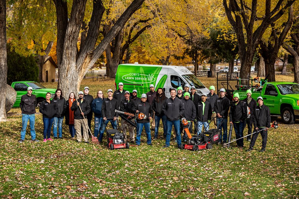 Cory's Lawn Service