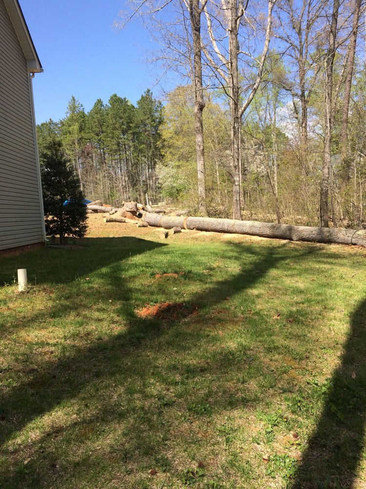 Jr’s Tree Service 19 Photos Tree Services Indian Trail, NC Phone Number Yelp