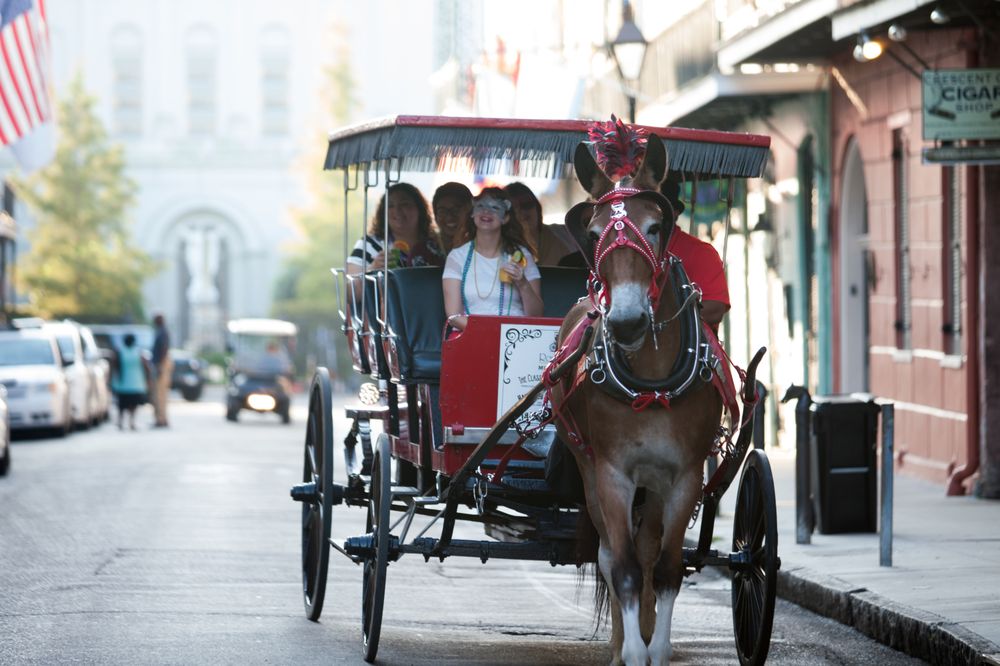 Royal Carriages 132 Photos & 208 Reviews Historical Tours 700