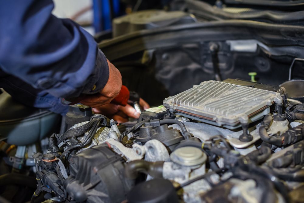 Robert Warrens Automotive