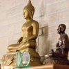 Thai Ocha