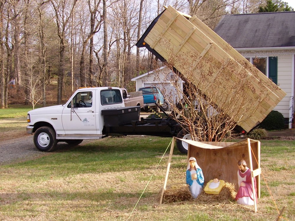 Waltons Tree and Landscape