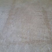 Alpha Omega Carpet Care 41 Reviews Cleaning 17191 Photo Of Alpha Omega Carpet Care San Antonio Tx United States