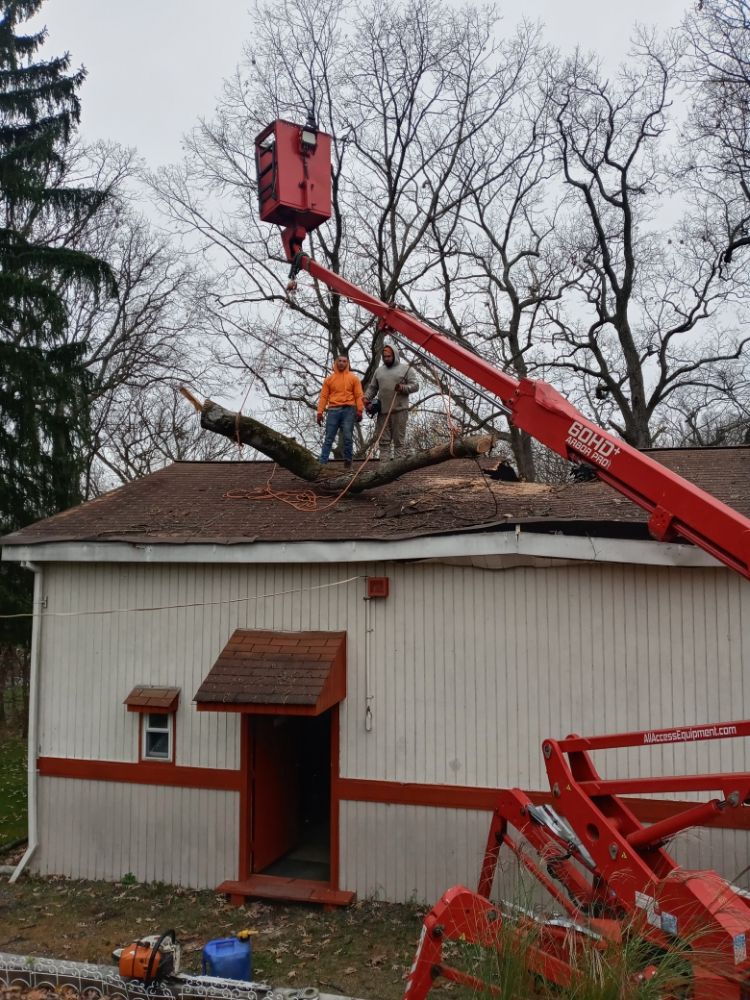 N.J.V Tree Service and Landscaping