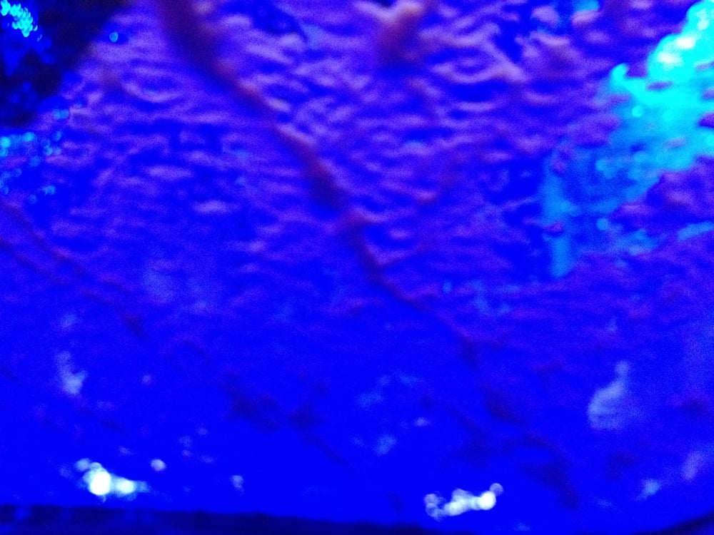 Pelican Pointe Car Wash Covington La Pelican Pointe Car Wash Covington La