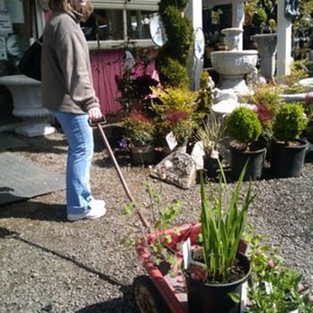 Bird S English Garden Nursery Nurseries Gardening 1296 Photo Of Bird S English Garden Nursery Ridgefield Wa United States