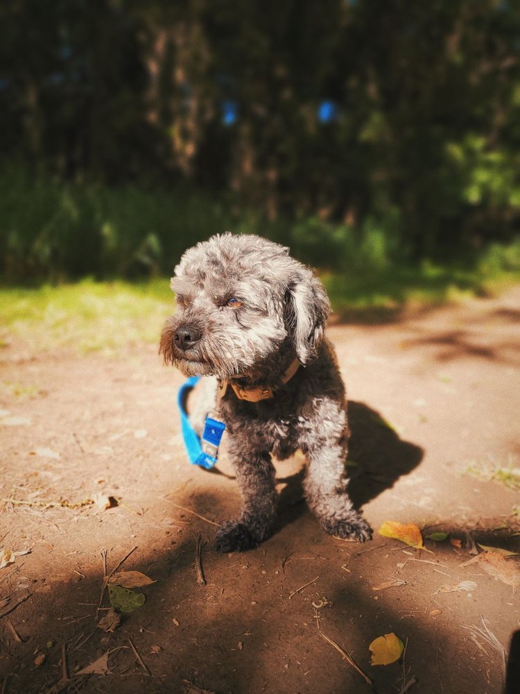 TedWalks