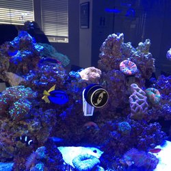reef creations 12 photos