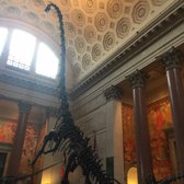 American Museum Of Natural History Nycid American Museum Of Natural History Nycid