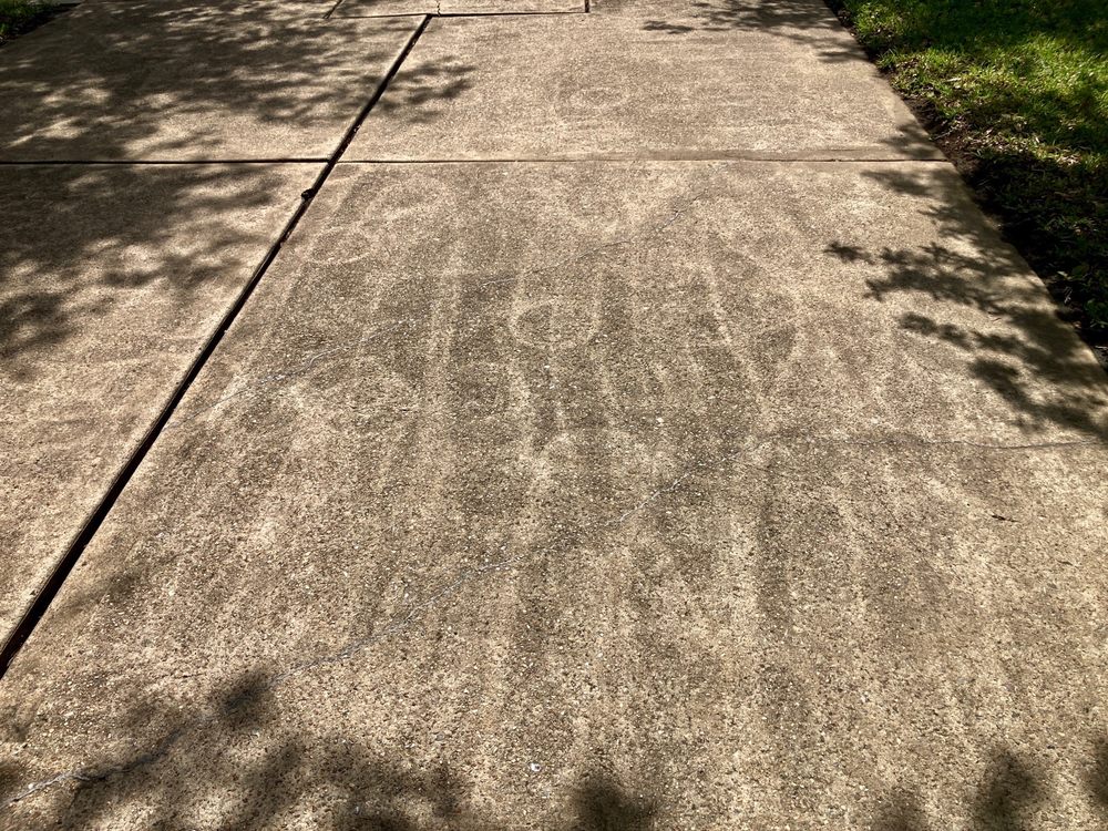 Nasario Lara Lawn Care