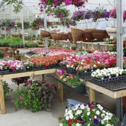 Kent Countryside Nursery Nurseries Gardening 61 Ludington Ct Helicopter Photo Of Kent Countryside Nursery Carmel Ny United States