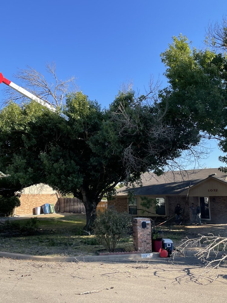 Javier's Tree Service