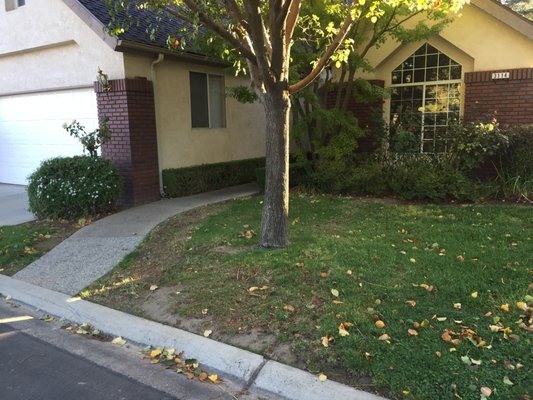 Champagne Landscaping Nursery 3233 N Cornelia Ave Fresno Ca Reviews