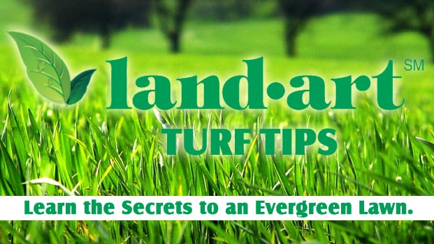 Land Art Lawn Care Service and Turf Management Florida
