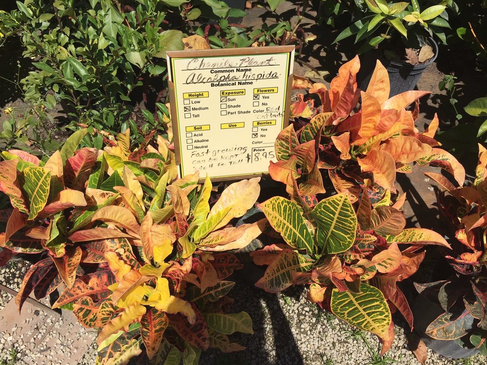 Galloway Farm Nursery 64 Photos & 16 Reviews Nurseries & Gardening