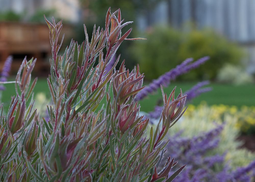 image of business Soulful Spaces