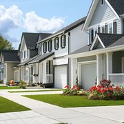 Photo of Be Pest Free - Brisbane Queensland, Australia