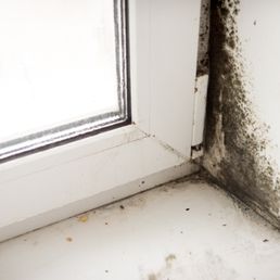 Nj Mold Testing Remediation Environmental 55 Union Pl Photo Of Nj Mold Testing Remediation Summit United States