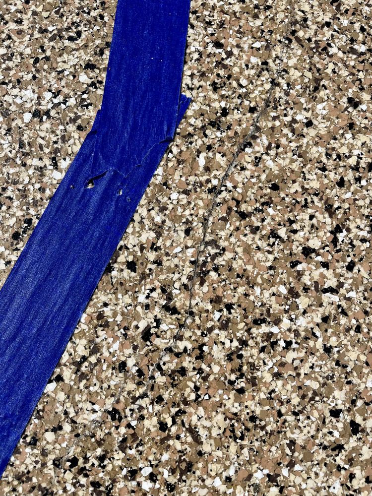 image of business Shark Coatings