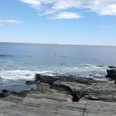 lobster shack cape elizabeth maine