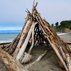 Navarro Beach Campground 46 Photos Campgrounds Hwy 128 1 Photo Of Navarro Beach Campground Ca United States