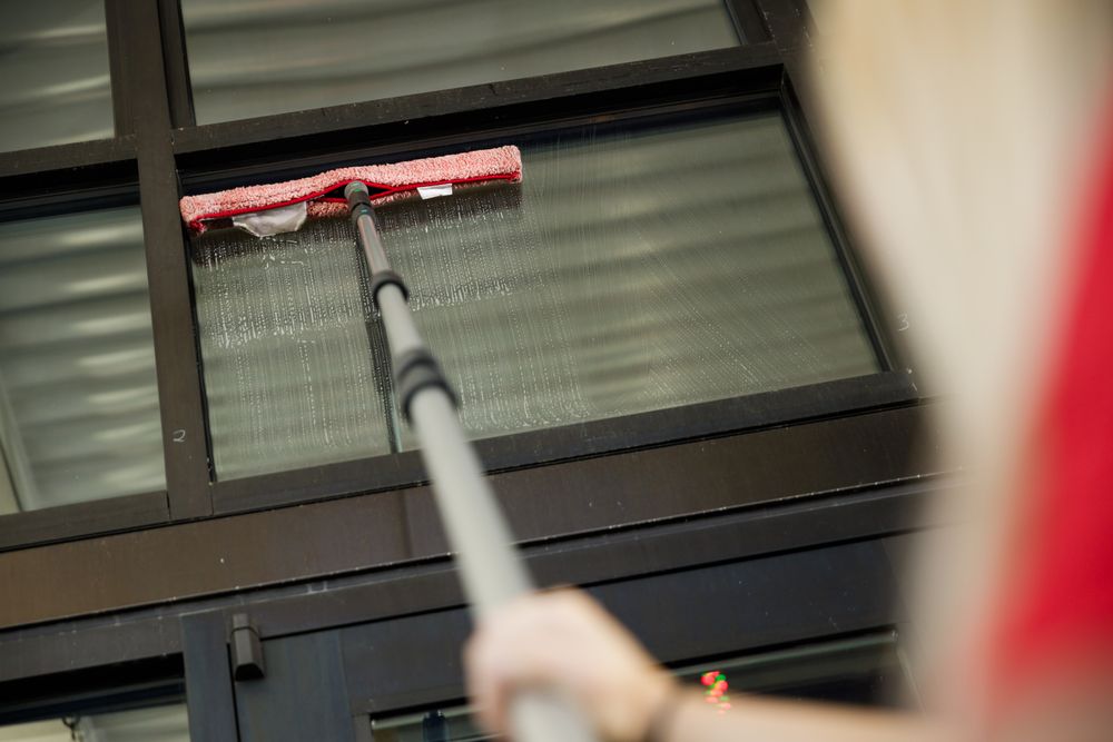 Fish Window Cleaning