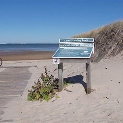 Linnell Landing Beach Beaches 36 Eagle Wing Ln Brewster Ma Photo Of Linnell Landing Beach Brewster Ma United States