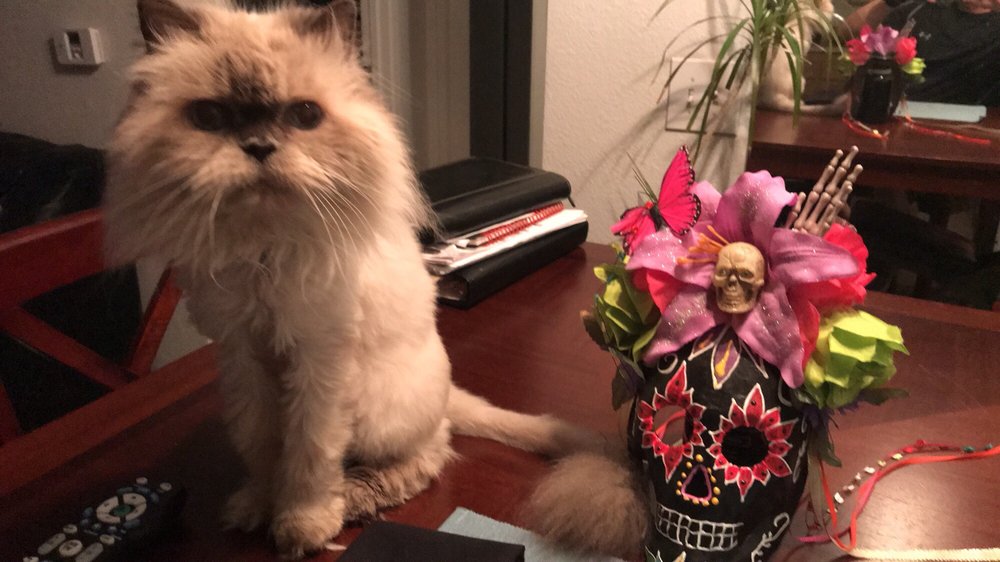 Dia de Los Muertos Art & Music Festival