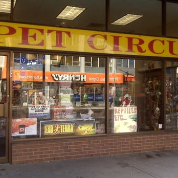 pet circus pet shops 274 bank street ottawa on pet circus pet shops 274 bank street ottawa on