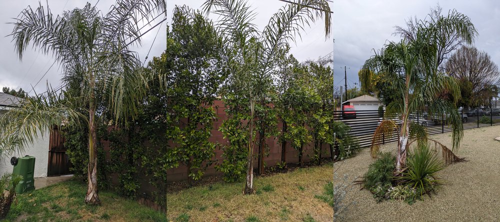 Nery's Tree Services