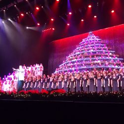 Photo Of Portlands Singing Christmas Tree Photo Of Portlands Singing Christmas Tree