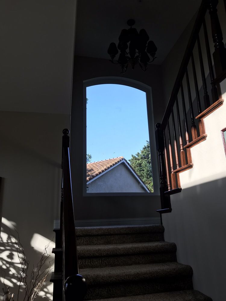image of business Pure View Window & Door