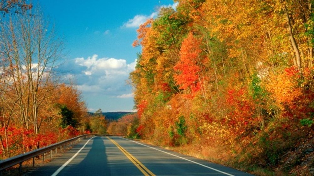 The Upper Delaware Scenic Byway