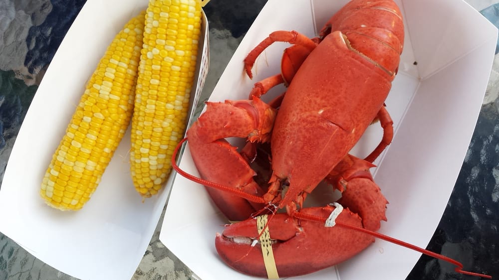 Morrison’s Lobsters 34 Photos & 36 Reviews Seafood 11 Badgers