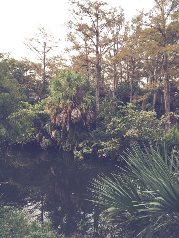 Orchid Park Coral Springs