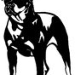 Big Dog Dent Repair Grapevine Big Dog Dent Repair Grapevine