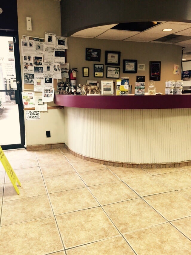 Allen Veterinary Hospital 12 Photos & 42 Reviews Veterinarians