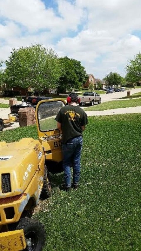 Morgan's Tree Service