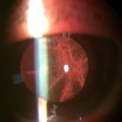 orange plaza optometry 31