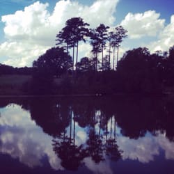 Serenbe Ga serenbe trailriding - check availability - horseback riding Serenbe Ga serenbe trailriding - check availability - horseback riding