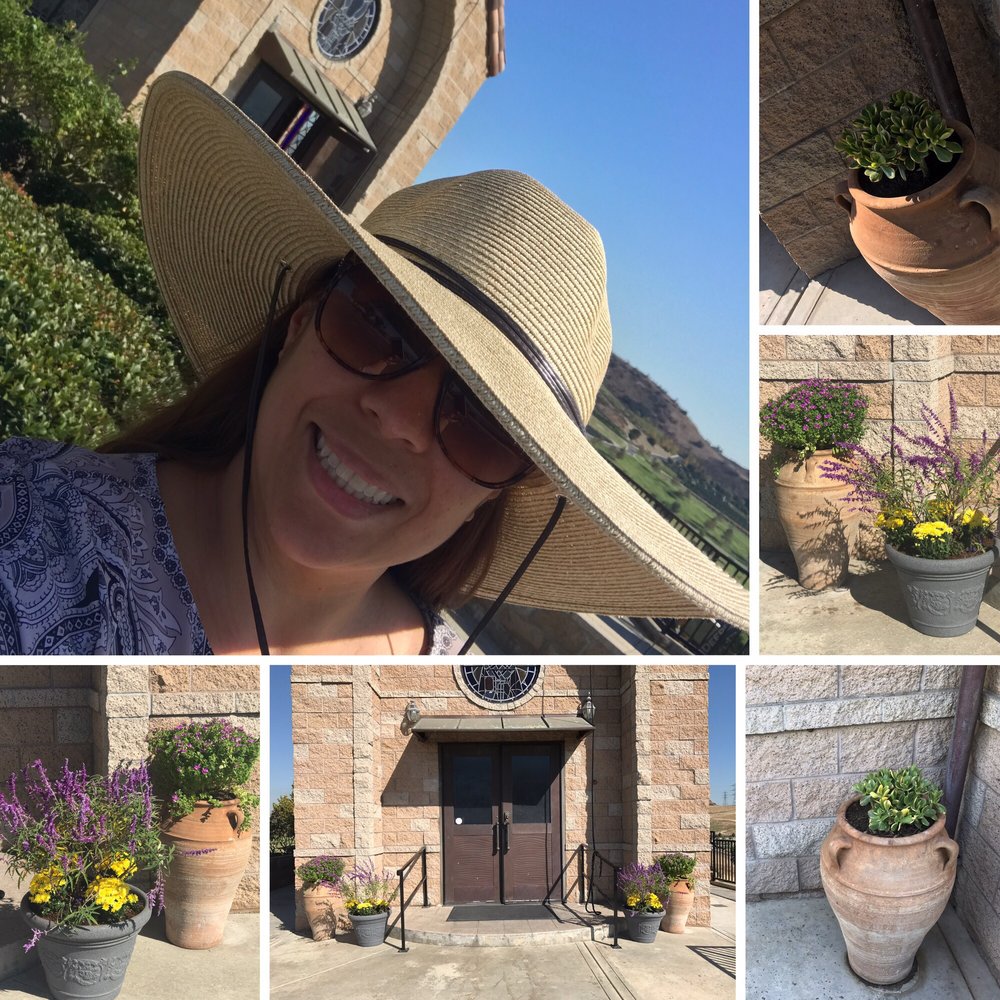A Thank You To The Las At Armstrong Nursery Out In Huntington Photo Of Armstrong Garden Centers Huntington Beach Ca United States A