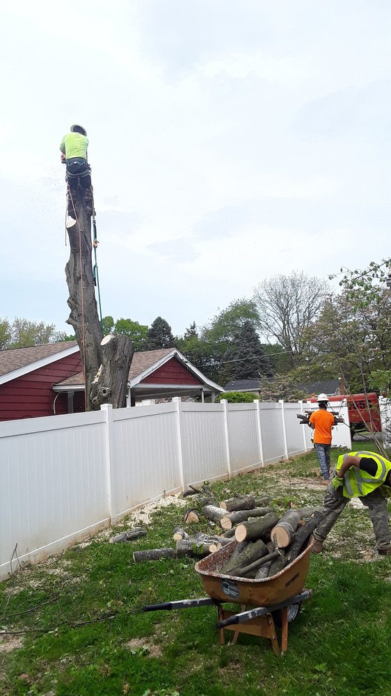 Magnolia Tree Solutions